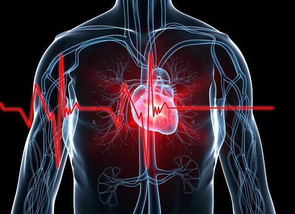 You have a unique heartbeat and that could be very useful to secure technology